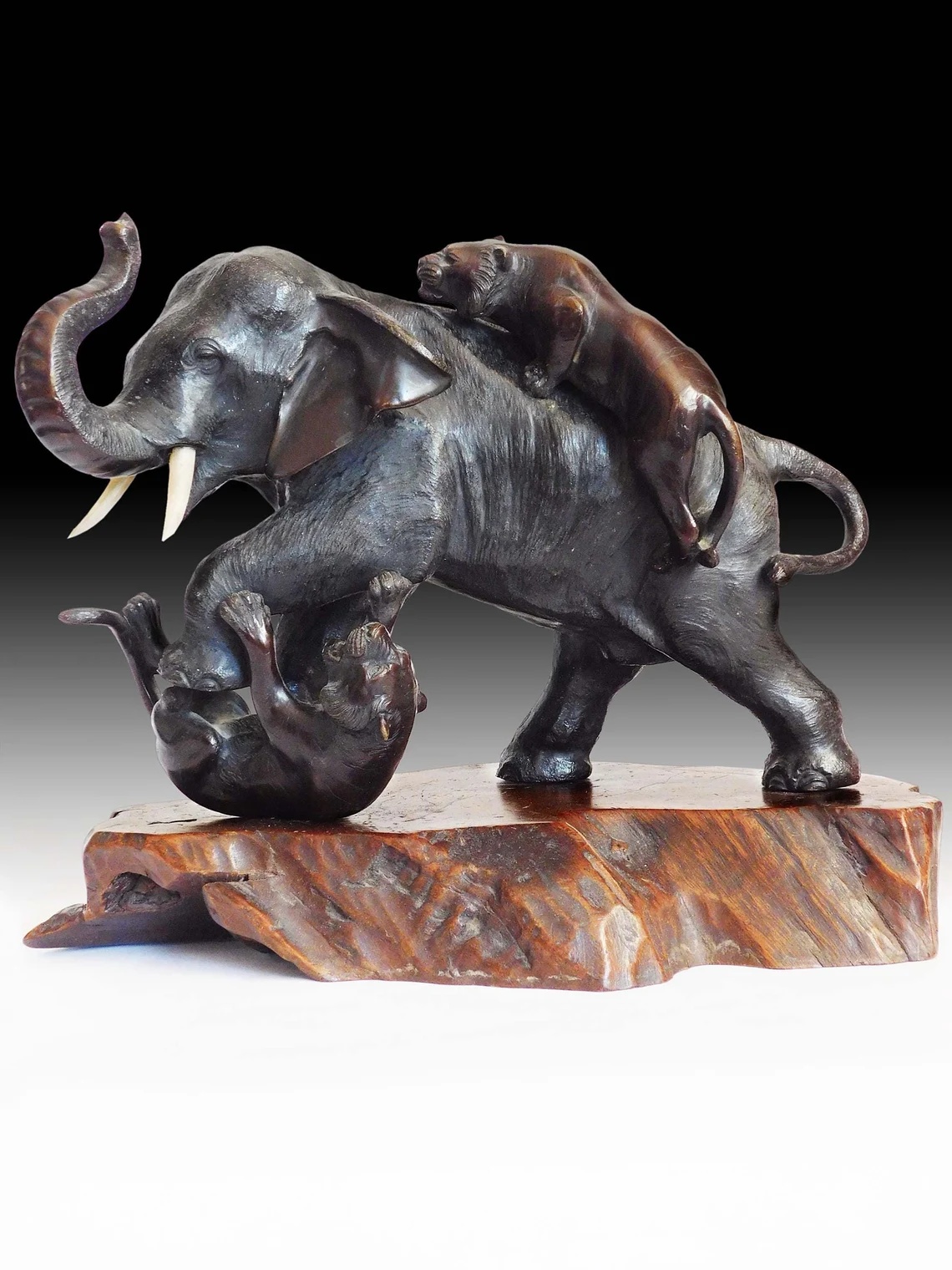 Meiji Tigers on Elephant