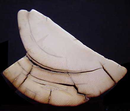 Mammoth Fossil Kwan Yin base