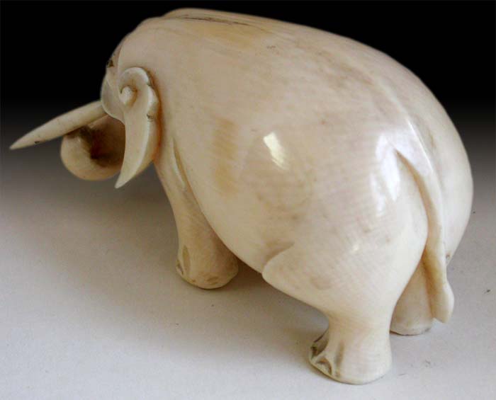 Chubby Elephant