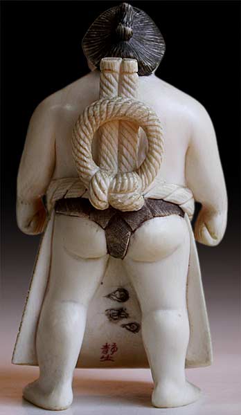 Sumo Wrestler back