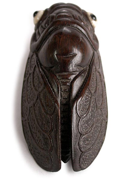 Cicada Wood Netsuke