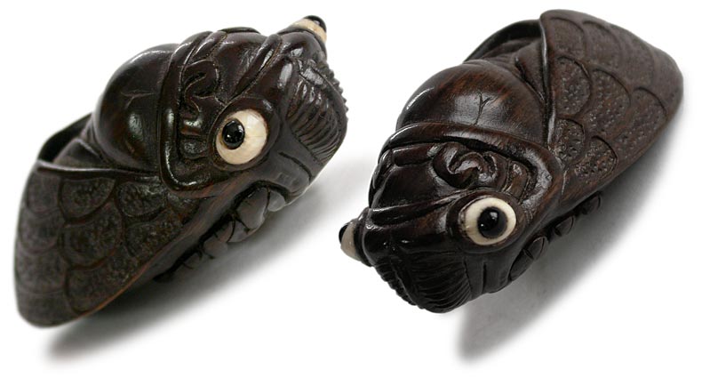 Cicada Wood Netsuke