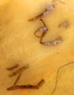 Gyokushi Signature