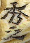 Netsuke Sig Shushi 