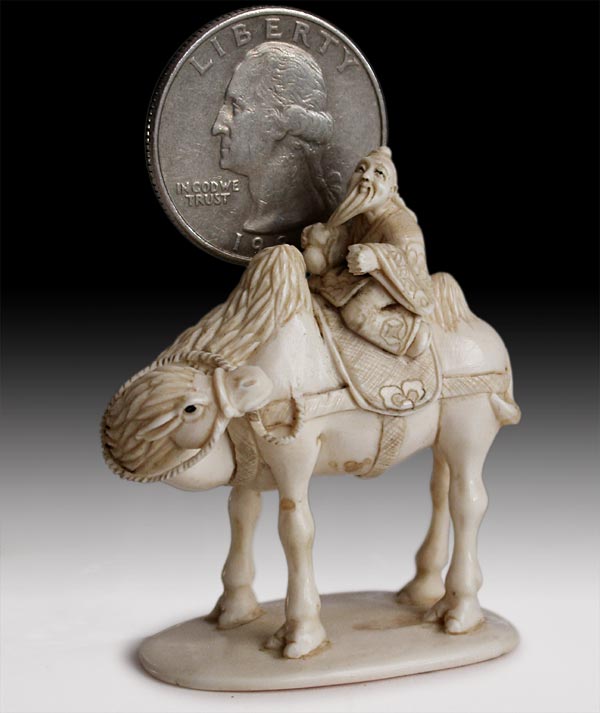 Sage On Camel 