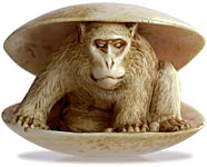 Monkey in Clam Netsuke