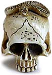 Japanese Snake on Skull Netsuke
