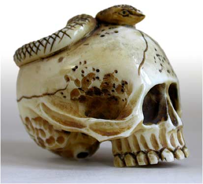 Snake on Skull Netsuke rt