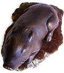 Bizen Wild Boar