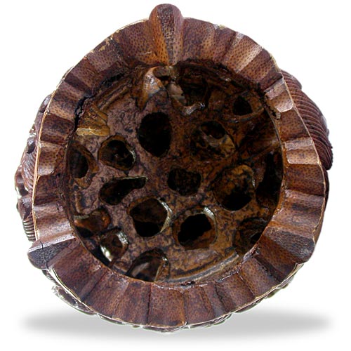 Bamboo Root Dragons base