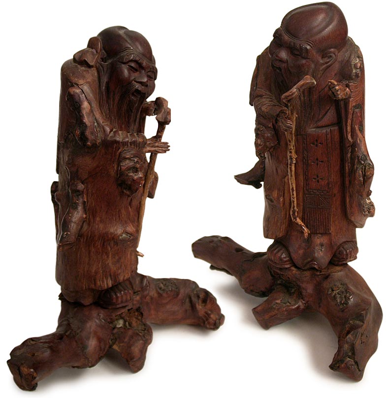 Root Wood Longevity